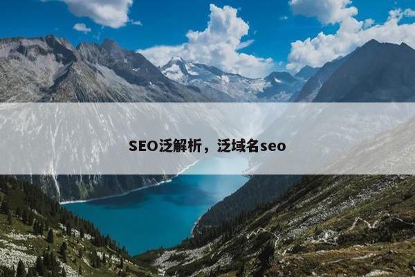 SEO泛解析，泛域名seo