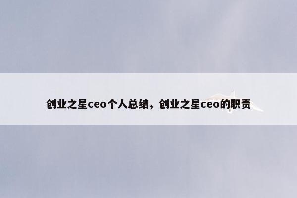 创业之星ceo个人总结，创业之星ceo的职责