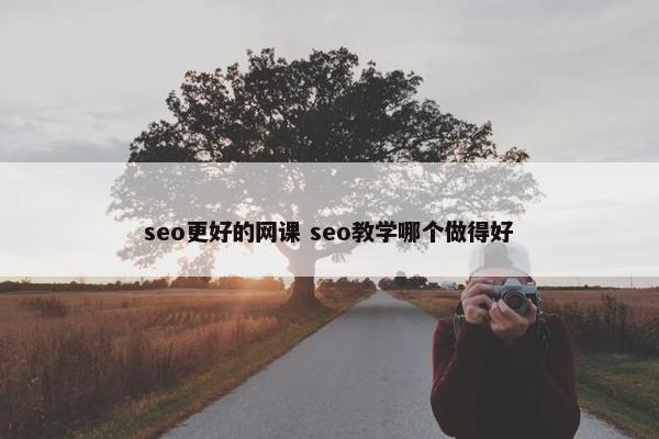 seo更好的网课 seo教学哪个做得好