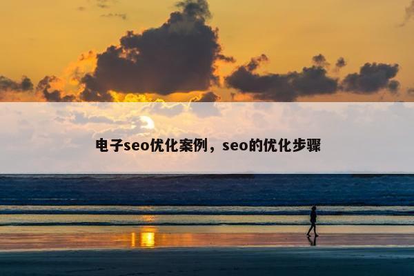 电子seo优化案例，seo的优化步骤