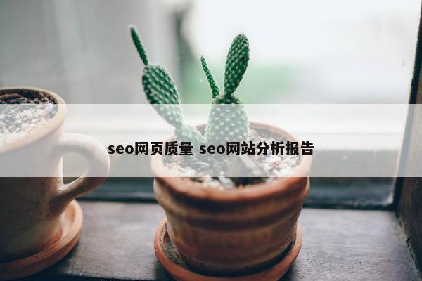 seo网页质量 seo网站分析报告