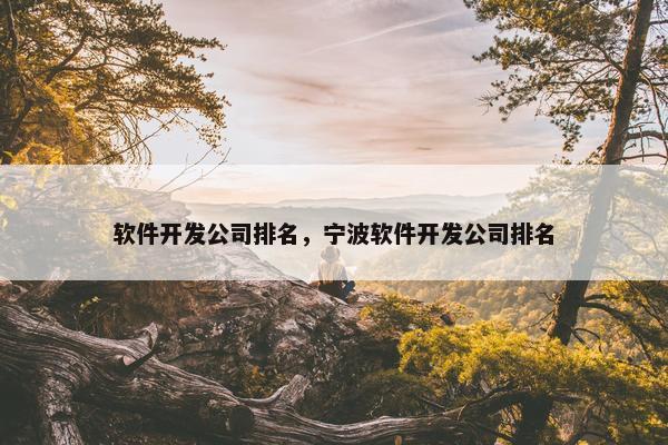 软件开发公司排名，宁波软件开发公司排名