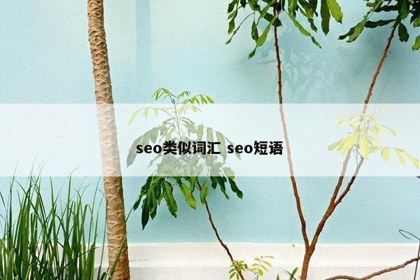 seo类似词汇 seo短语