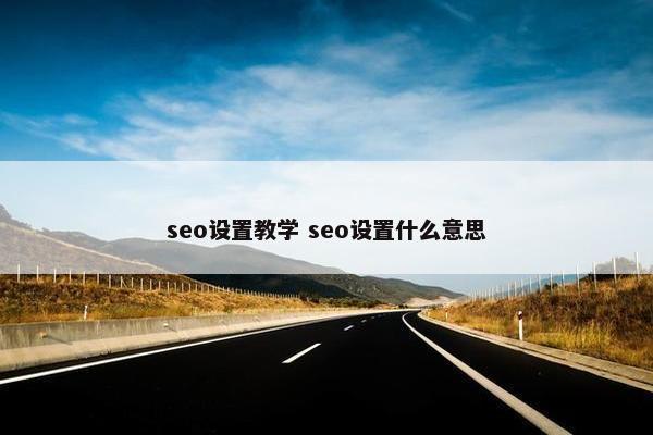 seo设置教学 seo设置什么意思