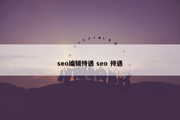 seo编辑待遇 seo 待遇