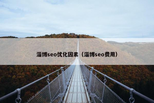 淄博seo优化因素（淄博seo费用）