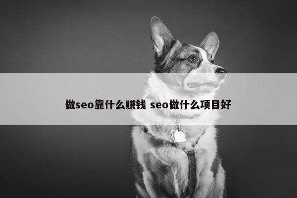 做seo靠什么赚钱 seo做什么项目好