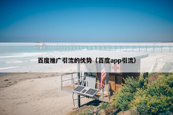 百度推广引流的优势（百度app引流）