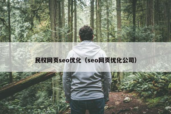 民权网页seo优化（seo网页优化公司）