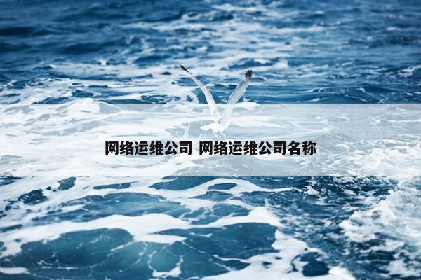 网络运维公司 网络运维公司名称