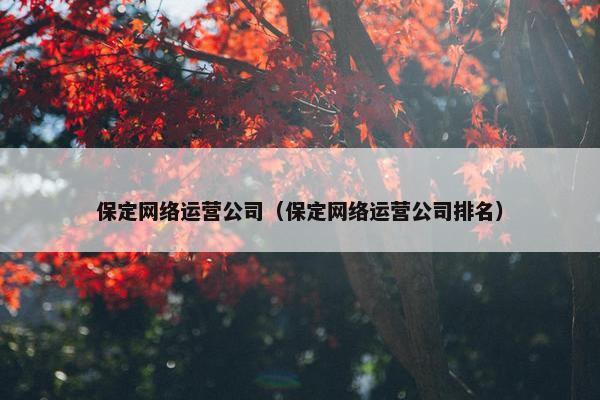 保定网络运营公司（保定网络运营公司排名）