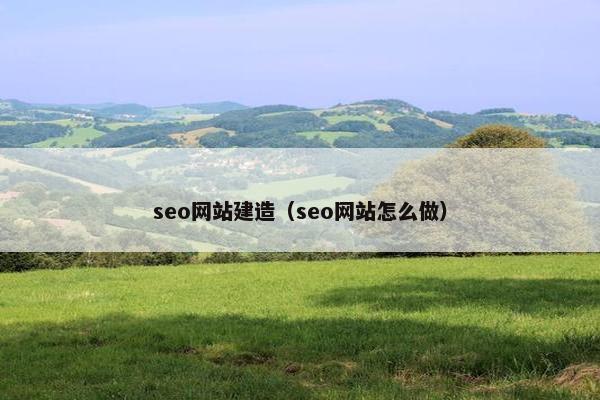 seo网站建造（seo网站怎么做）