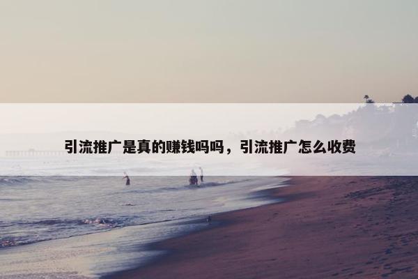 引流推广是真的赚钱吗吗，引流推广怎么收费