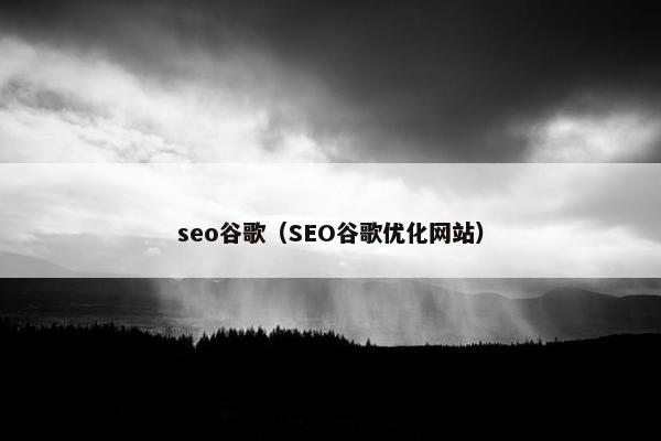 seo谷歌（SEO谷歌优化网站）