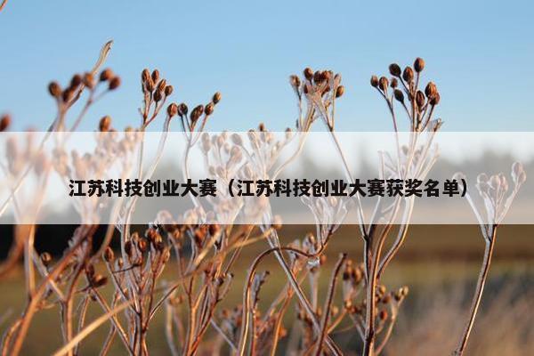 江苏科技创业大赛（江苏科技创业大赛获奖名单）