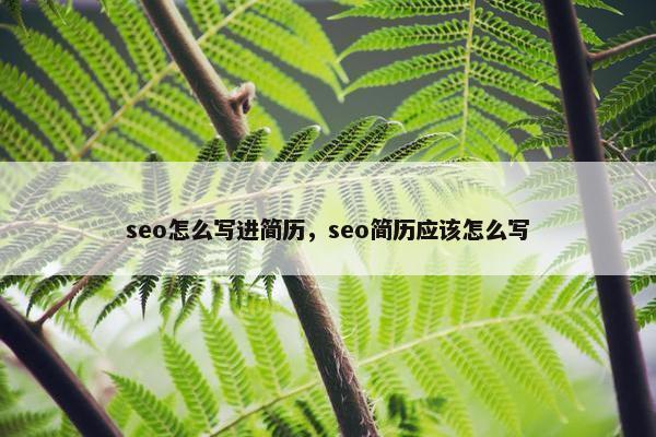 seo怎么写进简历，seo简历应该怎么写