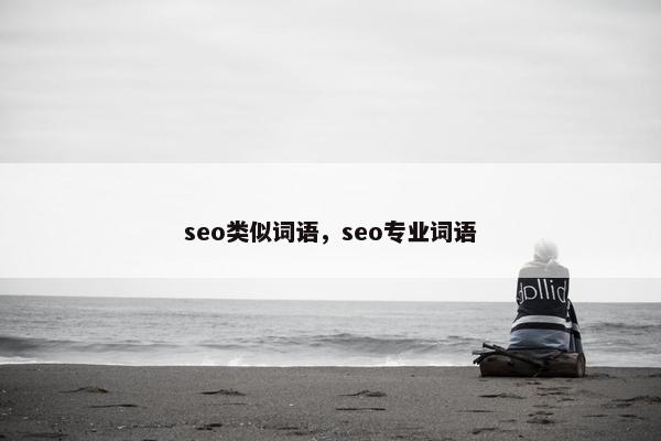 seo类似词语，seo专业词语