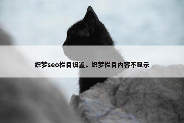 织梦seo栏目设置，织梦栏目内容不显示