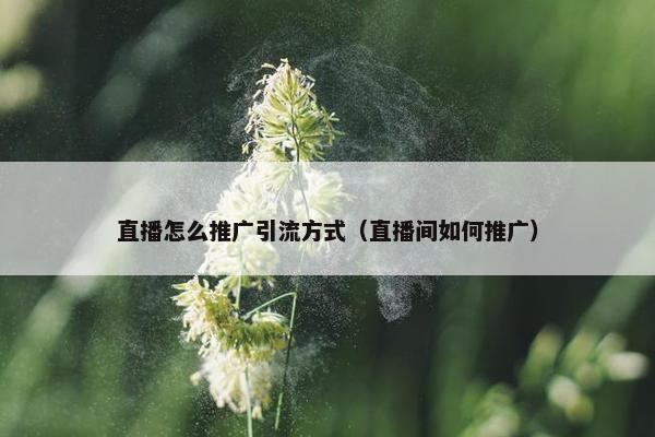 直播怎么推广引流方式（直播间如何推广）