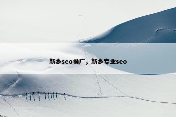 新乡seo推广，新乡专业seo