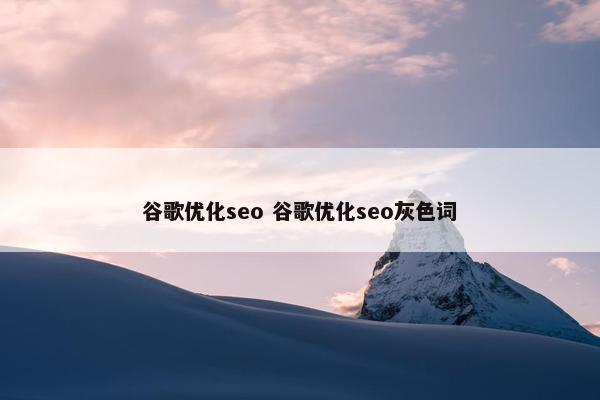 谷歌优化seo 谷歌优化seo灰色词