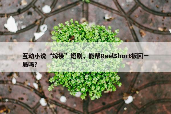 互动小说“嫁接”短剧，能帮ReelShort扳回一局吗？