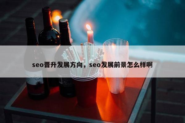 seo晋升发展方向，seo发展前景怎么样啊