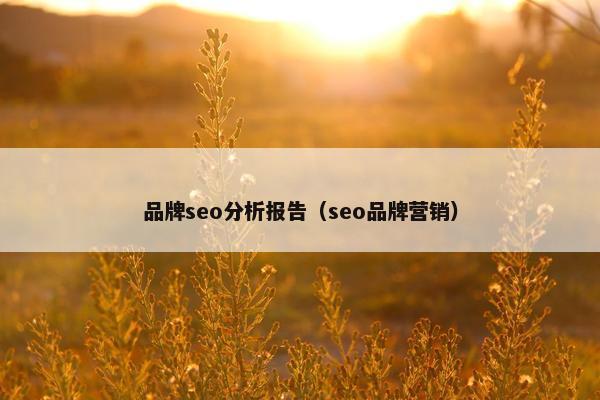 品牌seo分析报告（seo品牌营销）