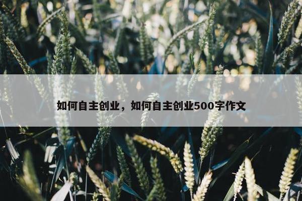 如何自主创业，如何自主创业500字作文