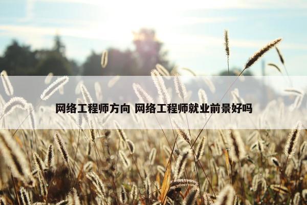 网络工程师方向 网络工程师就业前景好吗