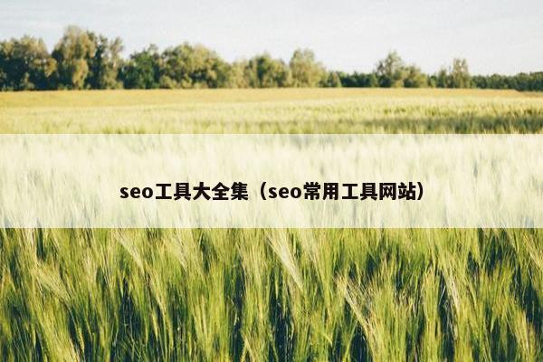 seo工具大全集（seo常用工具网站）