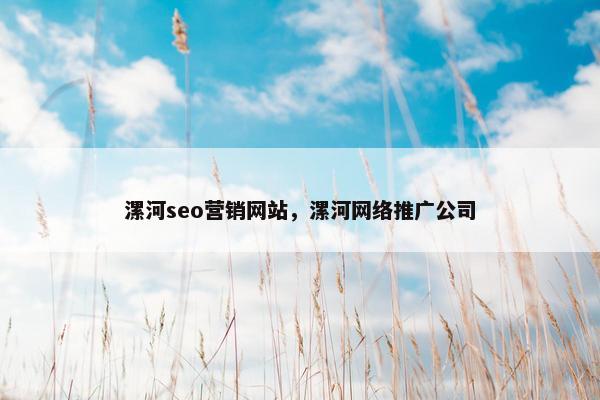 漯河seo营销网站，漯河网络推广公司