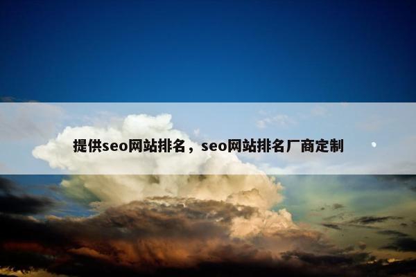 提供seo网站排名，seo网站排名厂商定制