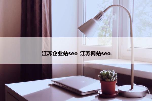 江苏企业站seo 江苏网站seo