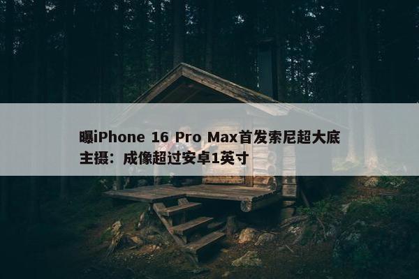 曝iPhone 16 Pro Max首发索尼超大底主摄：成像超过安卓1英寸