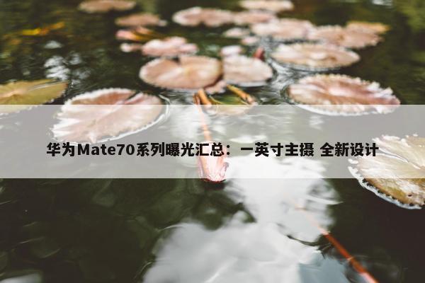 华为Ｍate70系列曝光汇总：一英寸主摄 全新设计