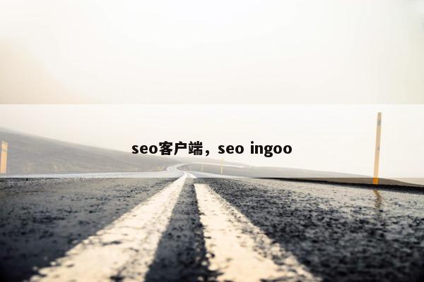 seo客户端，seo ingoo