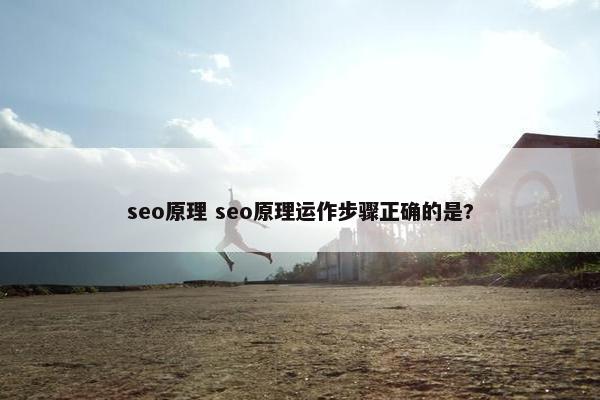 seo原理 seo原理运作步骤正确的是?