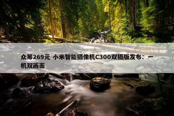 众筹269元 小米智能摄像机C300双摄版发布：一机双画面