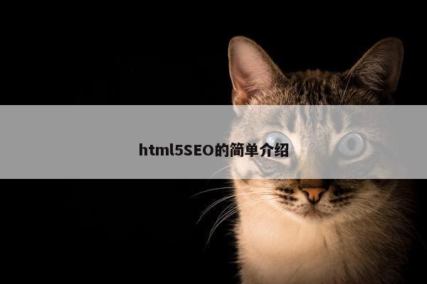 html5SEO的简单介绍