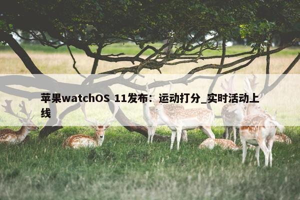 苹果watchOS 11发布：运动打分_实时活动上线