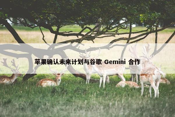 苹果确认未来计划与谷歌 Gemini 合作