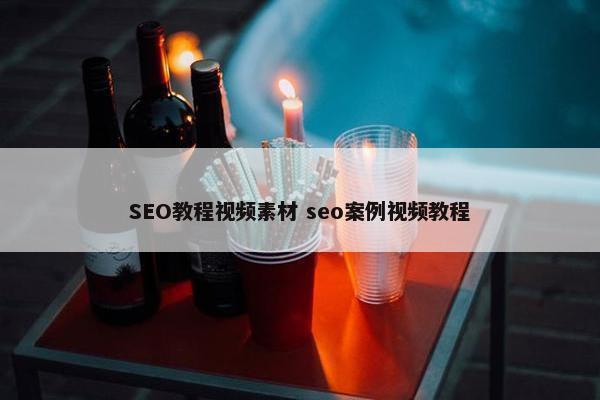 SEO教程视屏素材 seo案例视屏教程