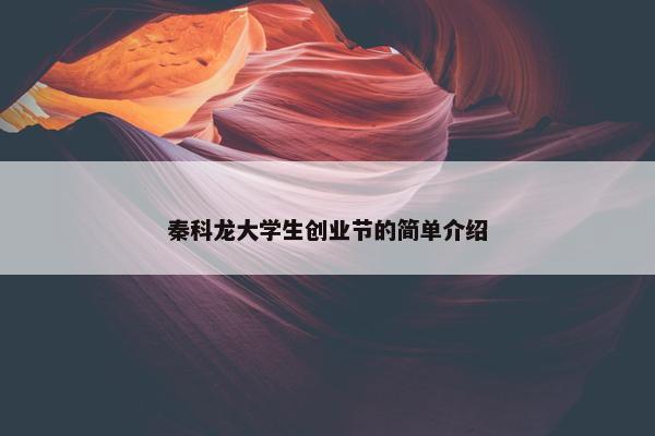 秦科龙大学生创业节的简单介绍