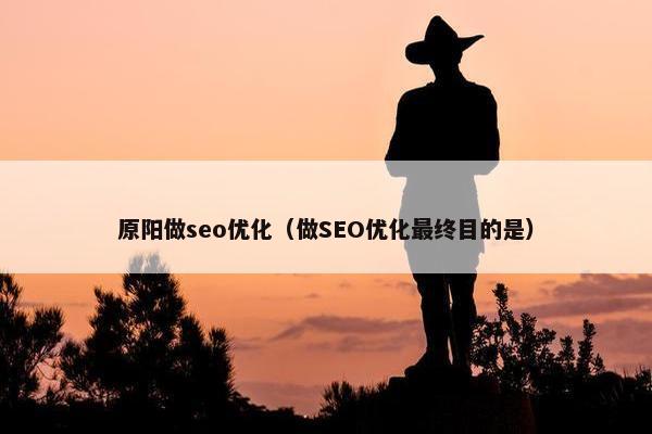 原阳做seo优化（做SEO优化最终目的是）