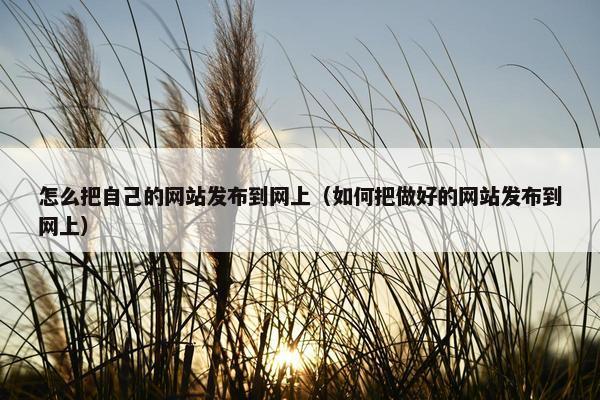 怎么把自己的网站发布到网上（如何把做好的网站发布到网上）