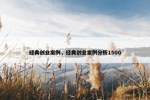 经典创业案例，经典创业案例分析1500