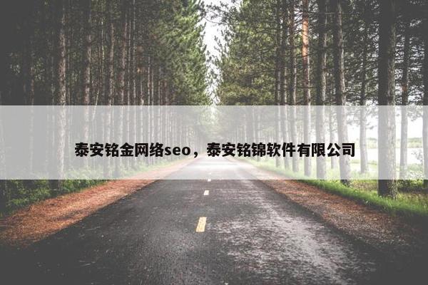 泰安铭金网络seo，泰安铭锦软件有限公司