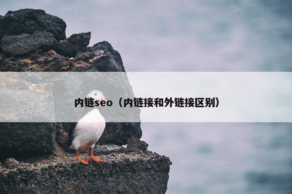 内链seo（内链接和外链接区别）