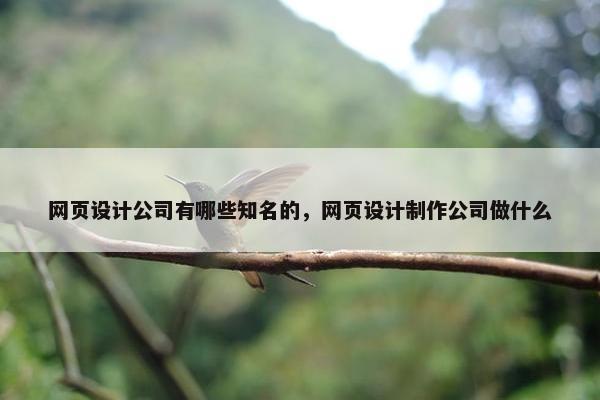 网页设计公司有哪些知名的，网页设计制作公司做什么